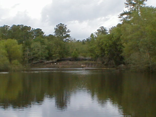 slideshow